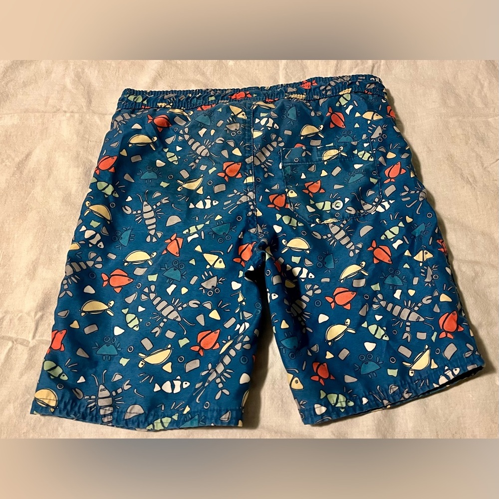 Colorful Fish Pattern Little Boys Swim Shorts